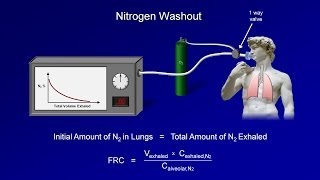 Pulmonary Function Tests PFT Lesson 3  Lung Volumes [upl. by Arlette1]