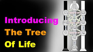 The Tree of Life A Beginners Guide Esoteric Saturdays [upl. by Eillac]