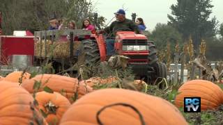 Meet the Farmer the modernday pumpkin patch [upl. by Seth28]