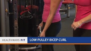 Low Pulley Bicep Curl [upl. by Kentiggerma568]