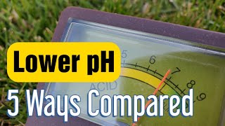 Lower Soil pH In The Lawn 5 Ways To Get It More Acidic [upl. by Eniruam]