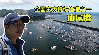 【一游记】全国六大特等渔港之一汕尾港，千军万马千帆起航之势，太壮观了 [upl. by Manya]