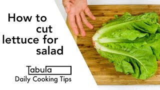 How to cut lettuce for salad [upl. by Nnyleuqcaj]