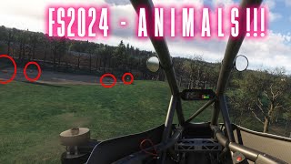 Finding ANIMALS in MSFS2024 [upl. by Nylla]