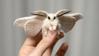 21 Most Incredible Moth Species [upl. by Nesyrb]