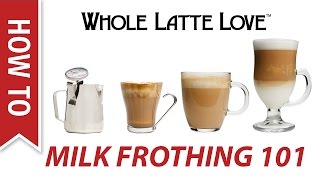 Milk Frothing for Beginners [upl. by Baudoin23]