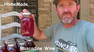 Homemade Muscadine Wine [upl. by Crist]