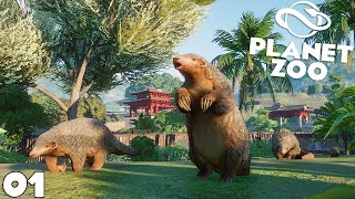 OUVERTURE DU ZOO  PLANET ZOO  royleviking FR HD PC [upl. by Katerine10]