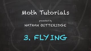 Moth Tutorials  3 Flying [upl. by Ellivro]