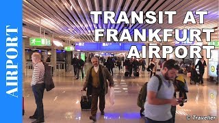 TRANSIT WALK AT FRANKFURT Airport FRA Terminal 1  Connection Flight Transfer Arriving amp Departing [upl. by Faye]